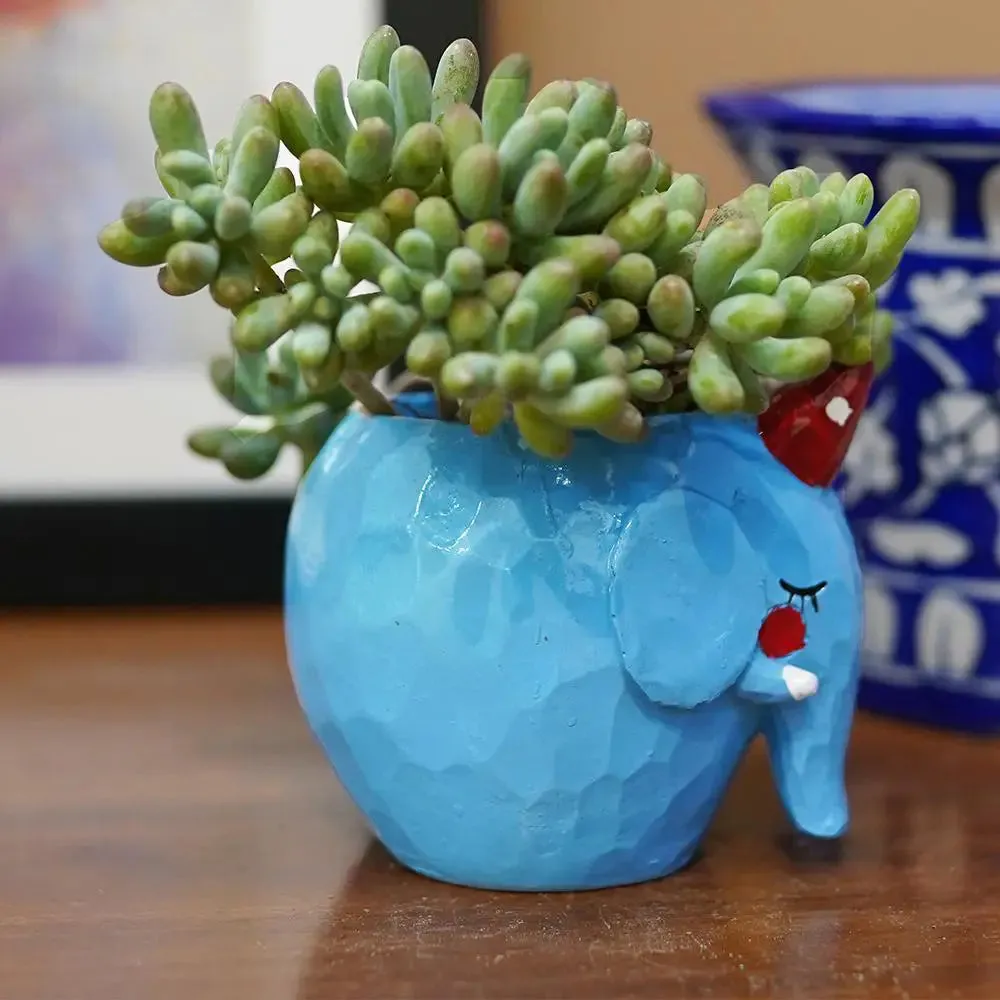 Cute Fatty Animals Desk Planter Flower Pot for Home Decor Set of 3