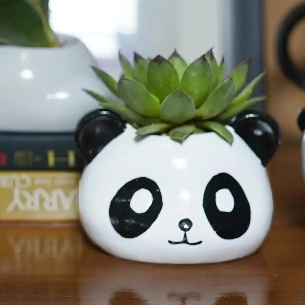 Cute Panda Desk Planter Flower Pot for Home Decor Set of 3