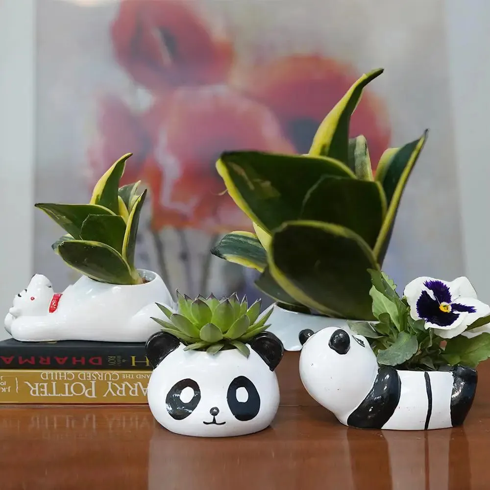 Cute Panda Desk Planter Flower Pot for Home Decor Set of 3