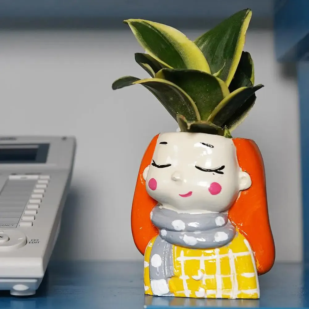 Cute Queen Family Desk Planter Flower Pot for Home Decor Set of 3