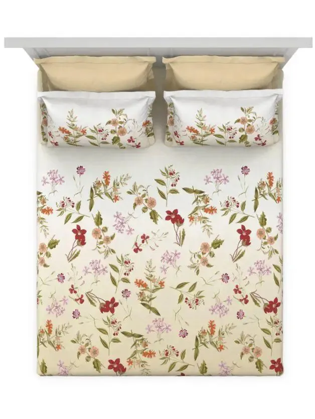 D'Decor Saphire Icons Collection 100% Cotton Double Bedsheet With 4 Pillow Covers