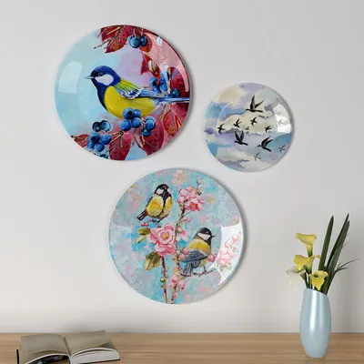 Decorative Wall Plates In Colorful Humming Bird Design Set Of 3