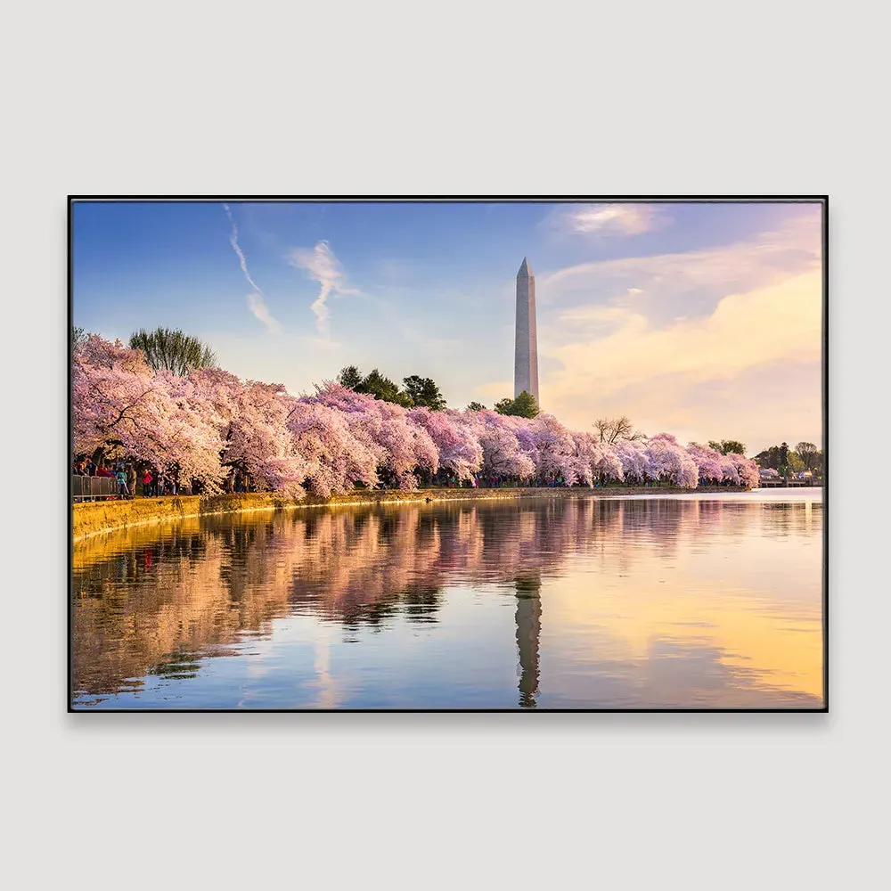 Delightful Tidal Basin of Washington Framed Wall Art With Floating Frame