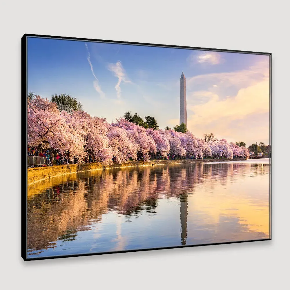 Delightful Tidal Basin of Washington Framed Wall Art With Floating Frame