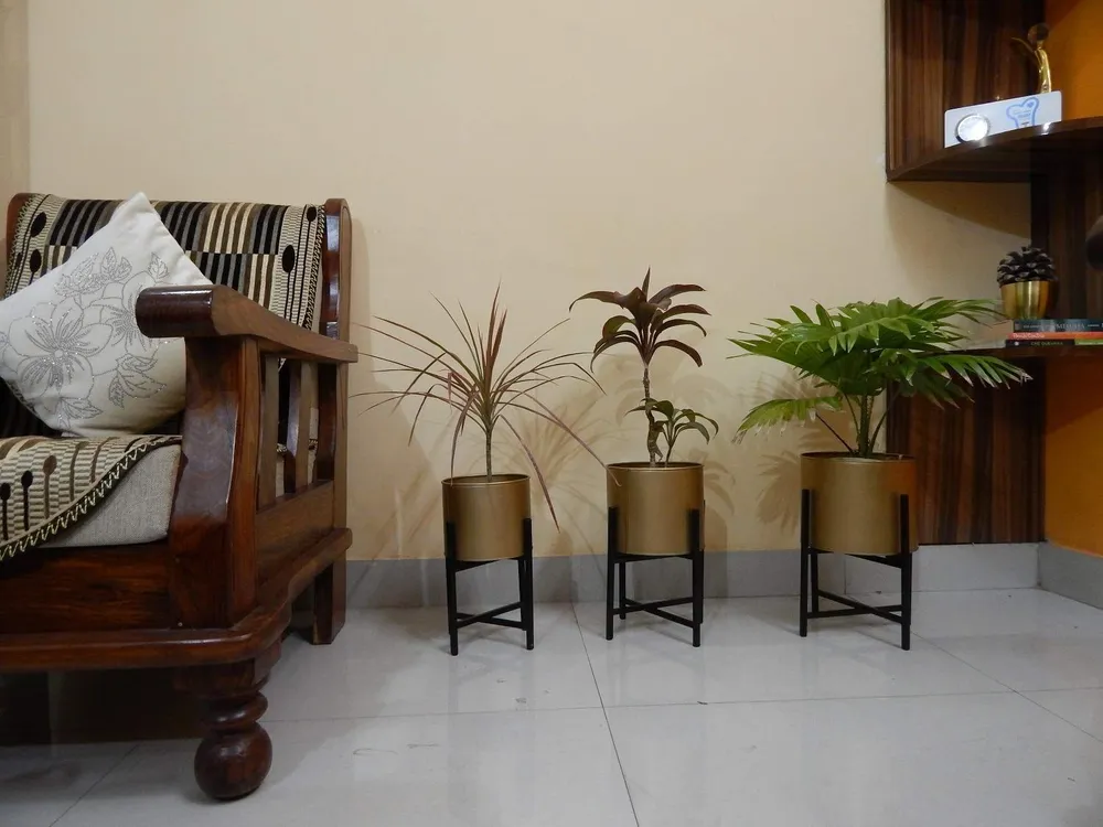 Designer Matte Gold & Black Desk Planter With Stand Set of 3