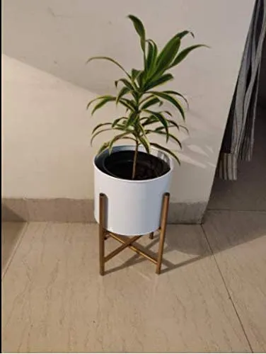 Designer Matte White & Black Desk Planter With Stand