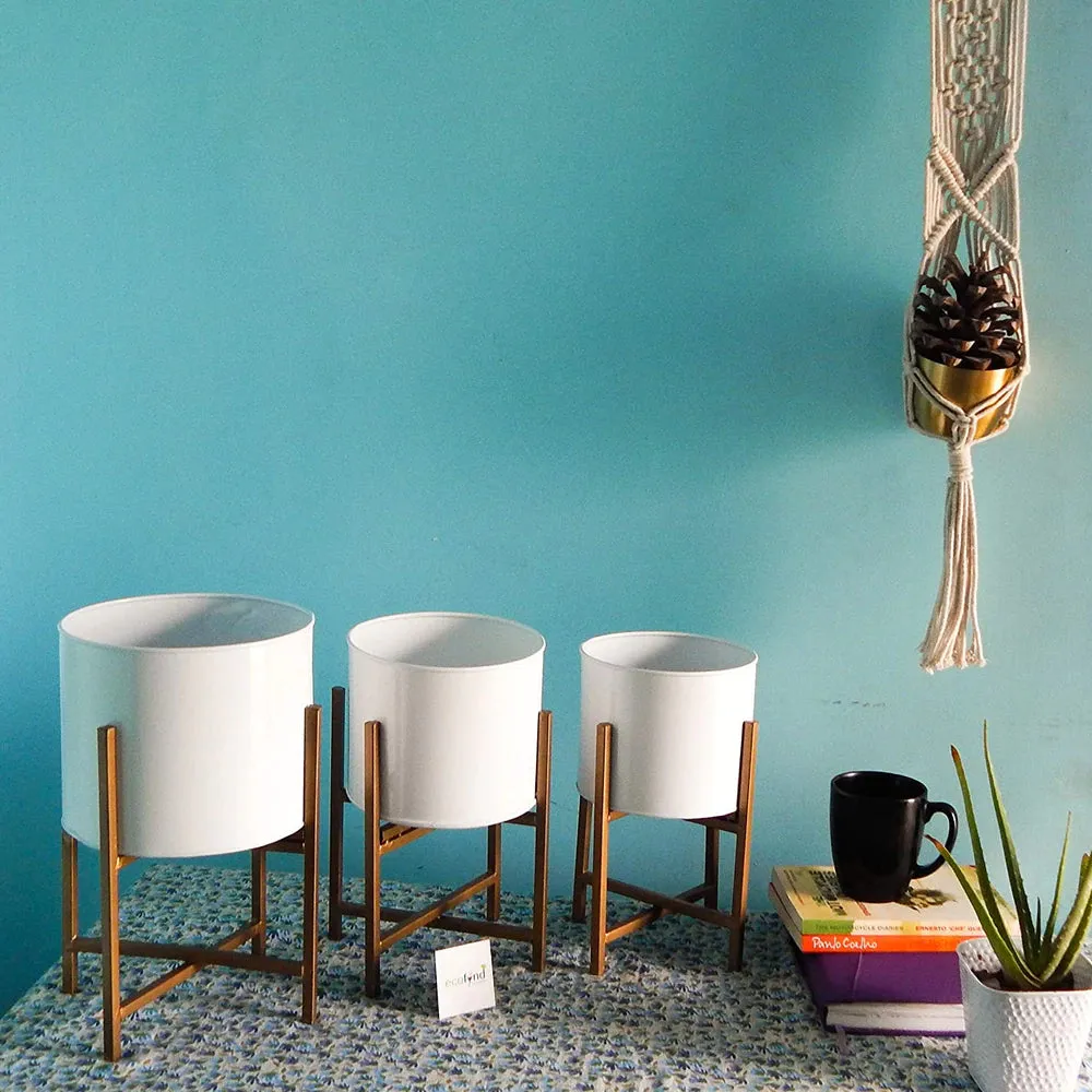 Designer Matte White & Black Desk Planter With Stand- Set of 3