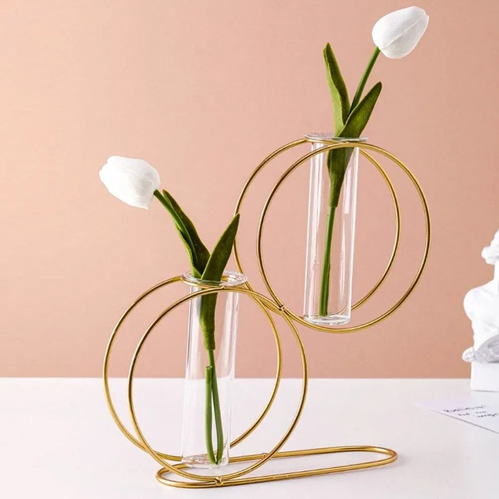 Double Round Metal Wire Glass Tube Vase Single Piece
