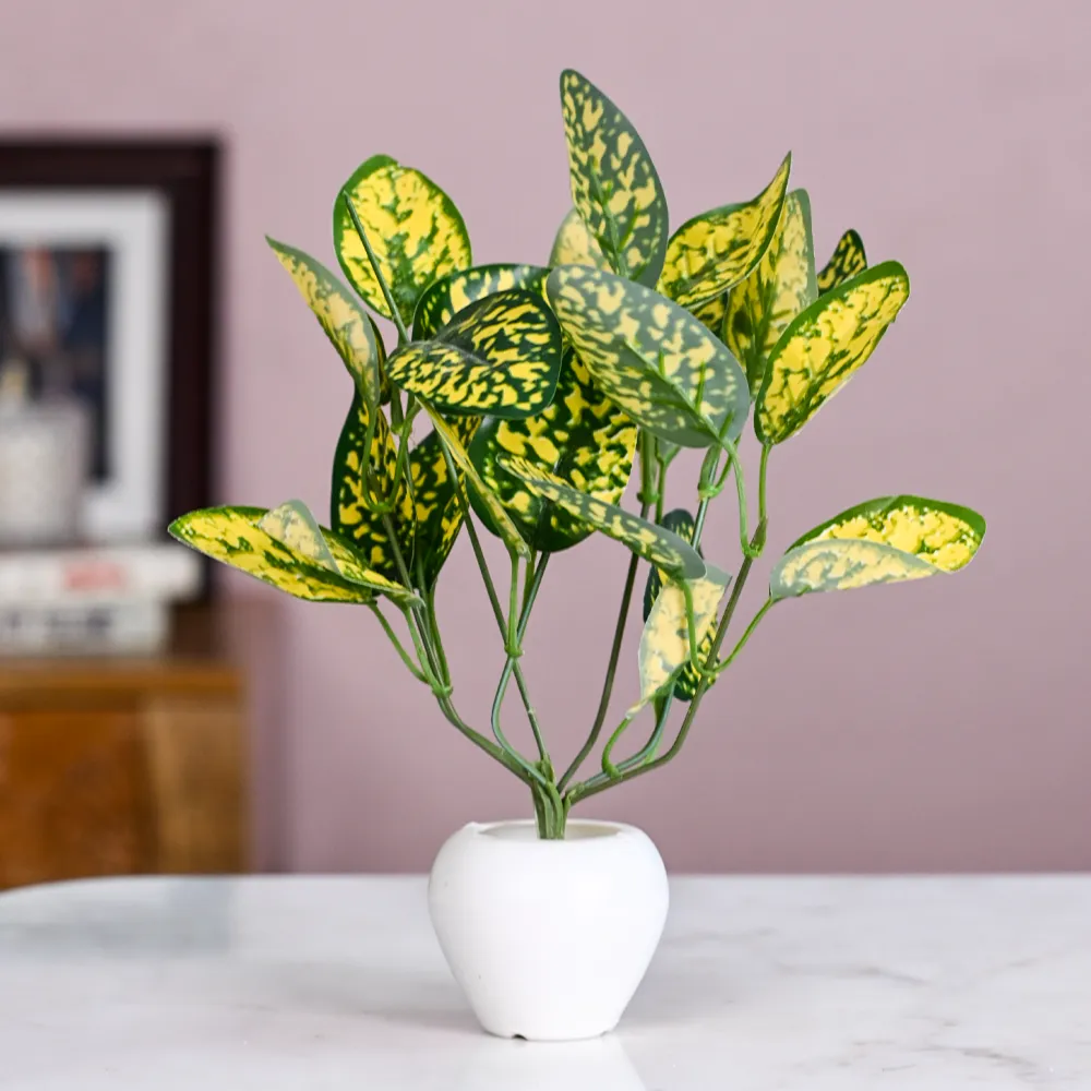 Dracaena Small Leaves Artificial Plant With Pot Default Title