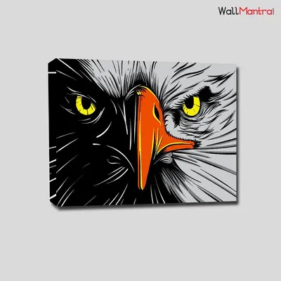 Eagle Face Colourful DIY(Do-It-Yourself)/ Paint by numbers canvas painting kit