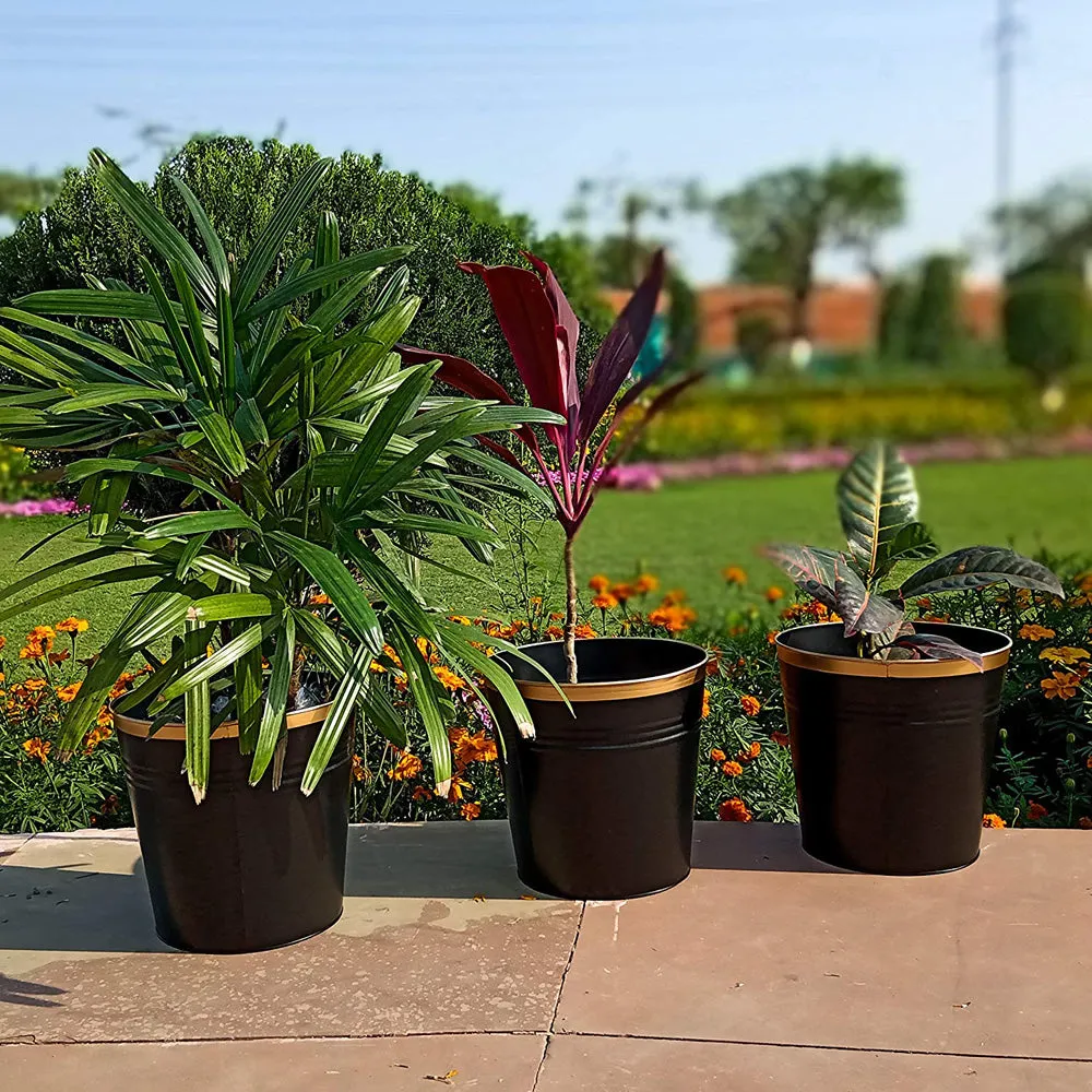 Ecofynd 10 inches Round Metal Planter- Set Of 3