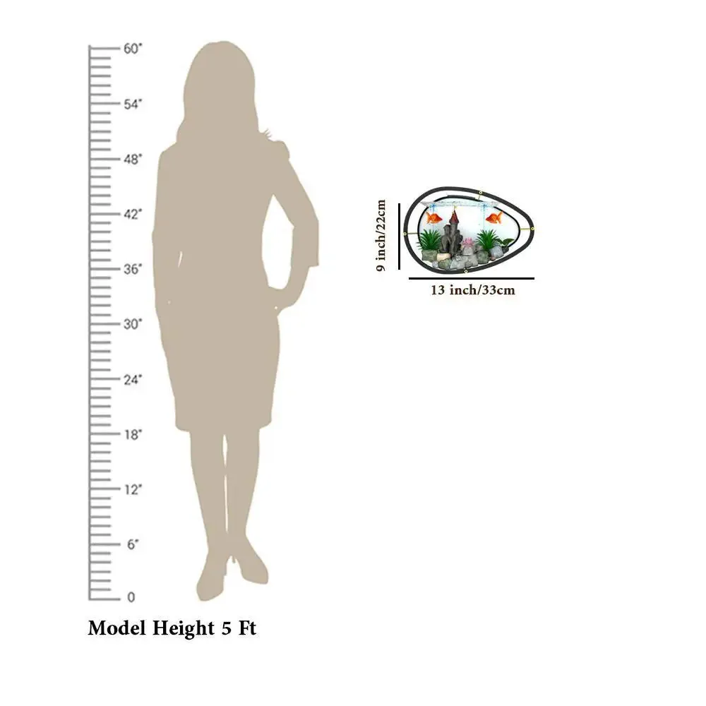 Egg Shaped Transparent Wall Aquarium / Terrarium With Air Pump