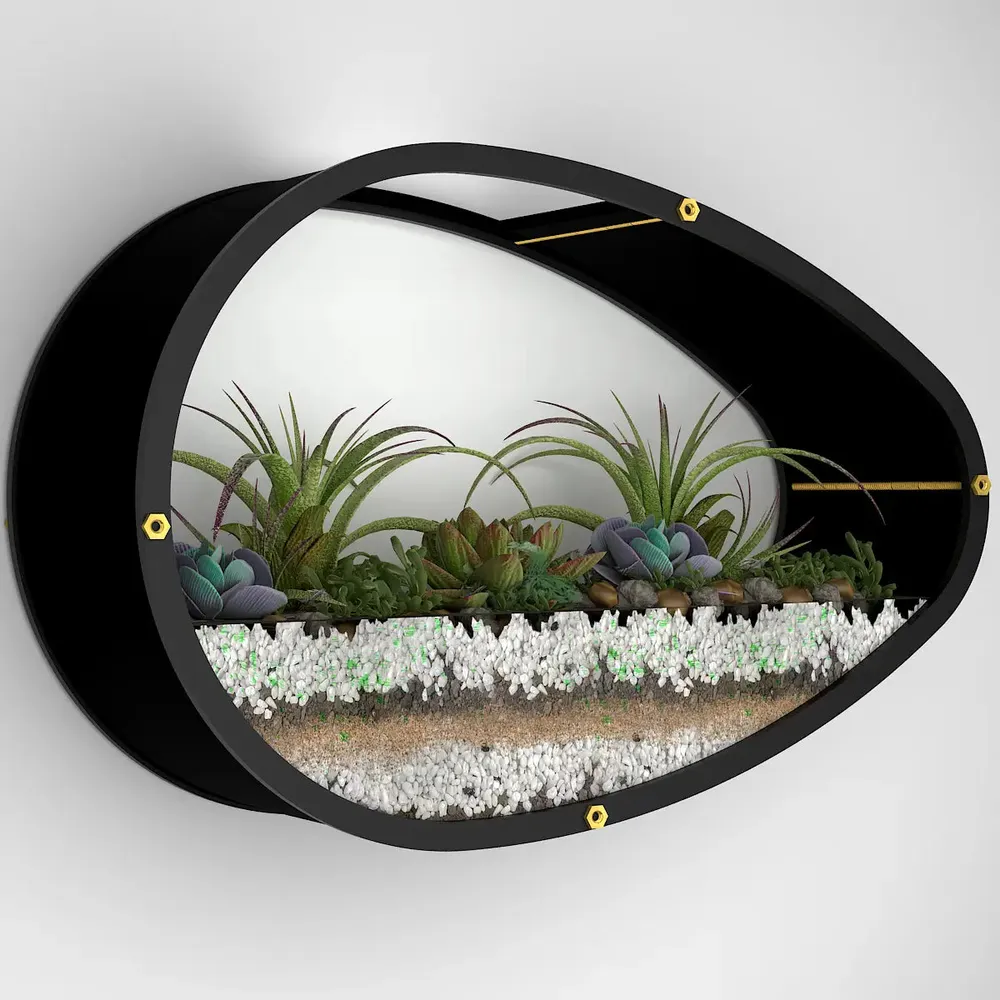 Egg Shaped Transparent Wall Terrarium