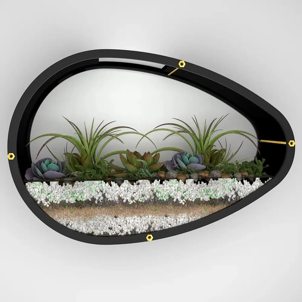 Egg Shaped Transparent Wall Terrarium