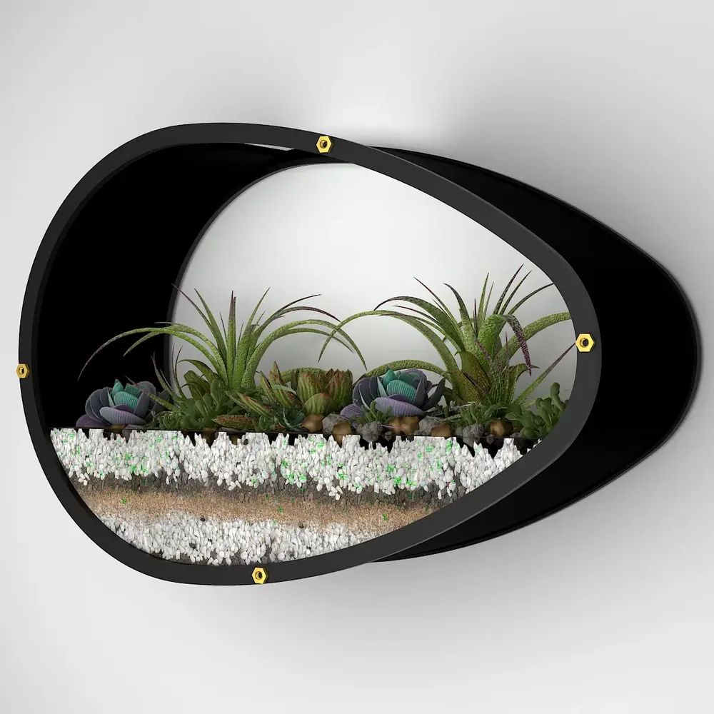 Egg Shaped Transparent Wall Terrarium