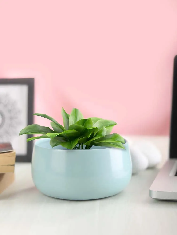 Elegant Aqua Handi Resilient Metal Plant Pots Set Of 2