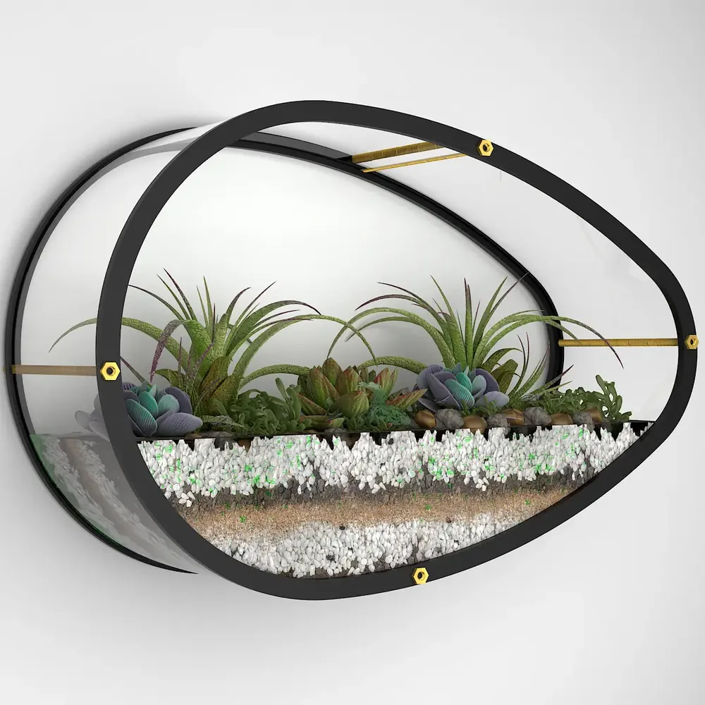 Elegant Egg Shaped Transparent Wall Terrarium
