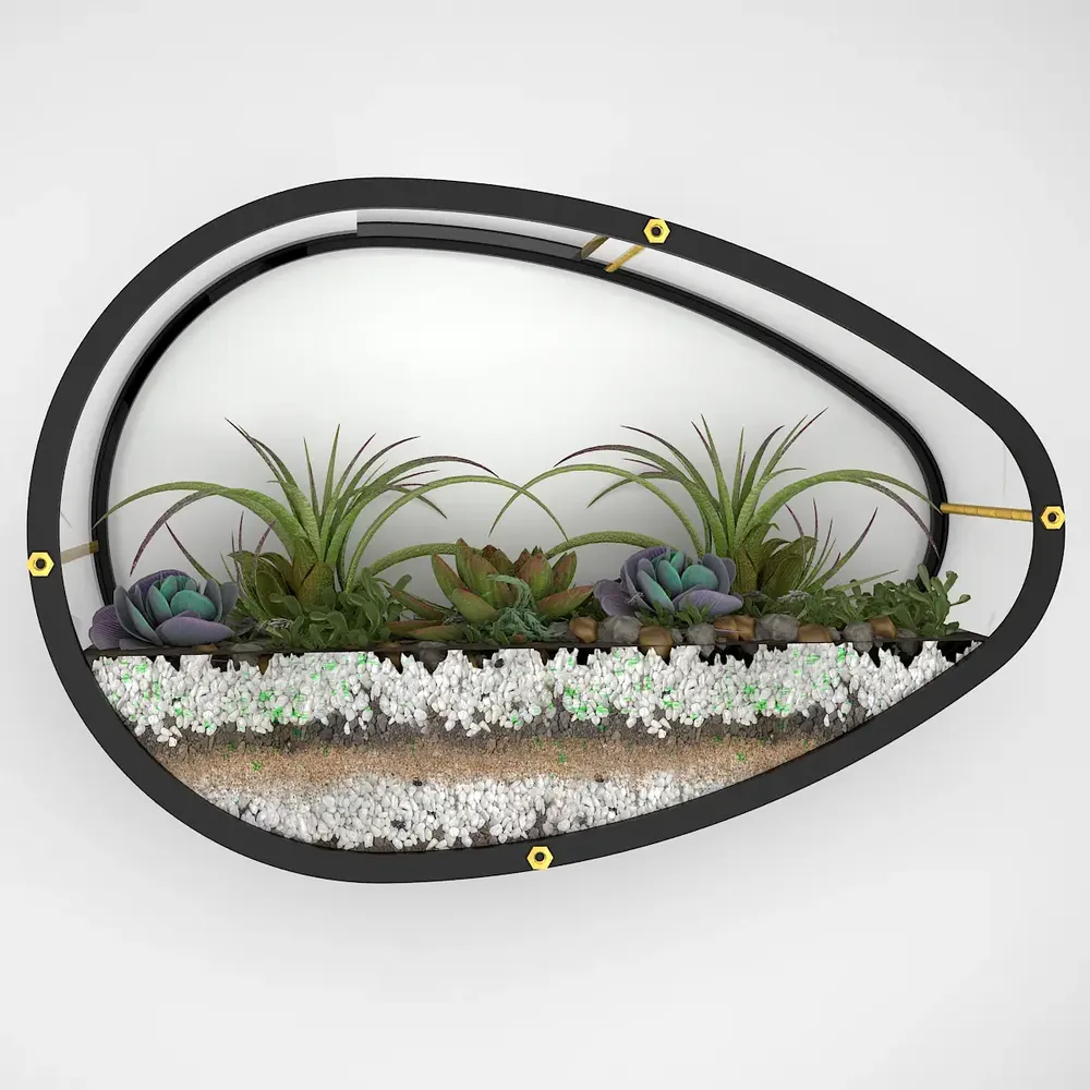 Elegant Egg Shaped Transparent Wall Terrarium