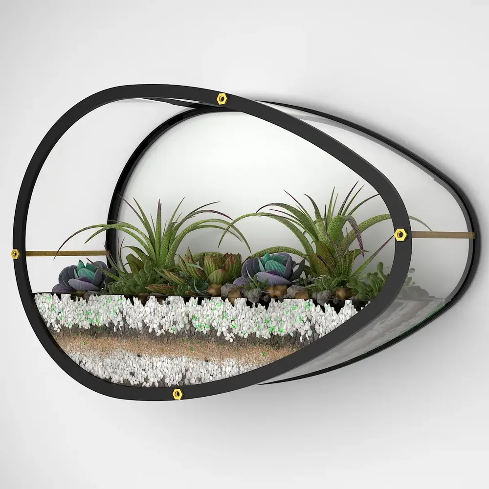 Elegant Egg Shaped Transparent Wall Terrarium