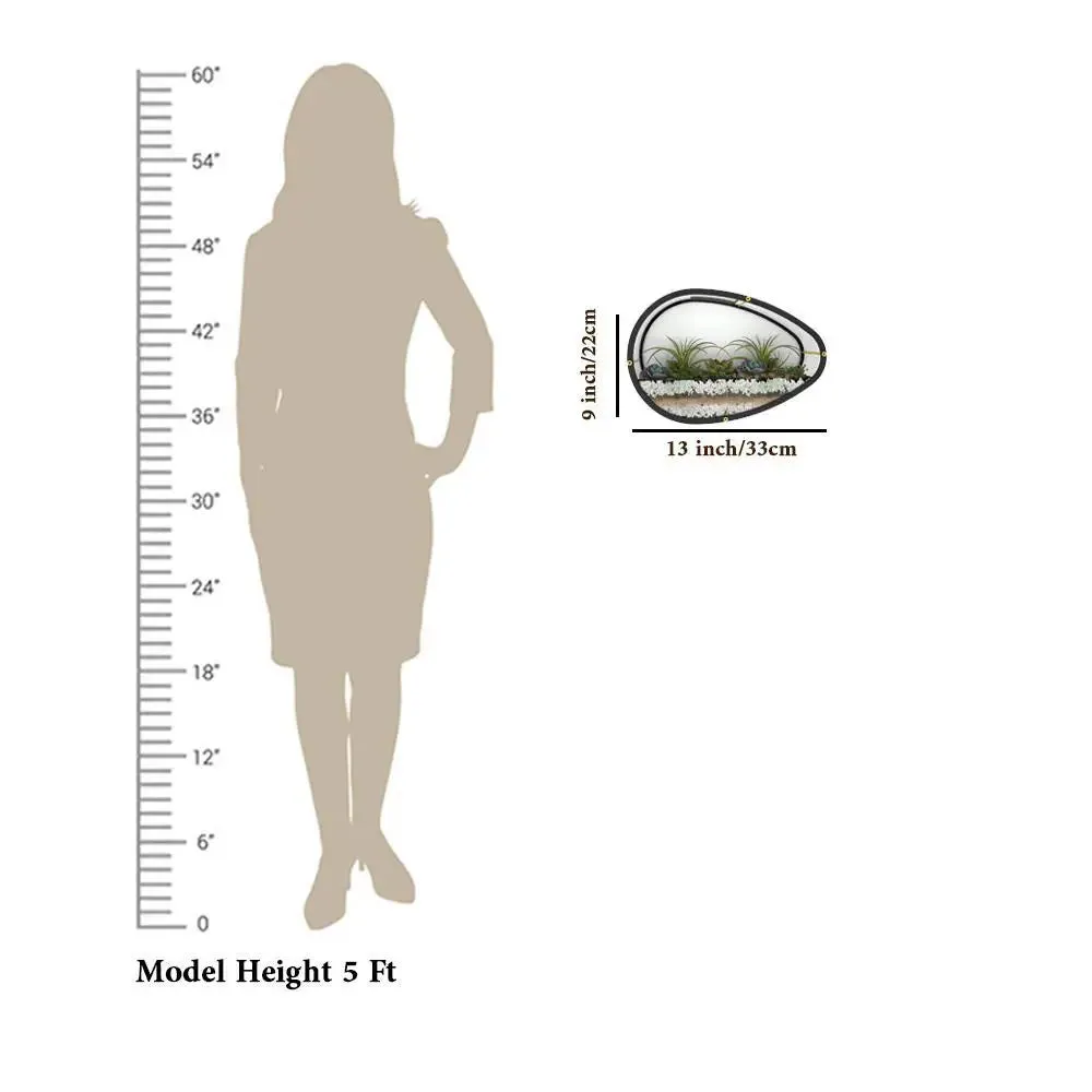 Elegant Egg Shaped Transparent Wall Terrarium