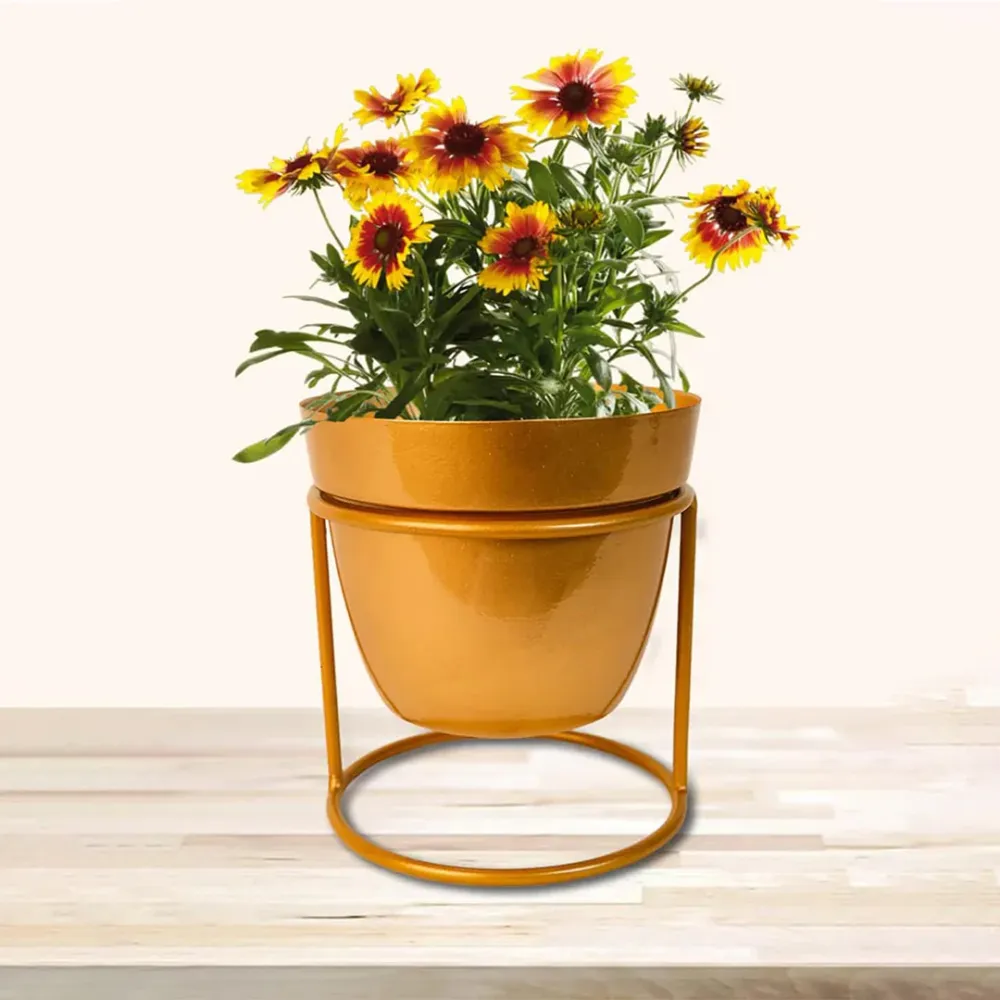 Elegant Gold Toned Resilient Metal Pot Stand Set Of 1
