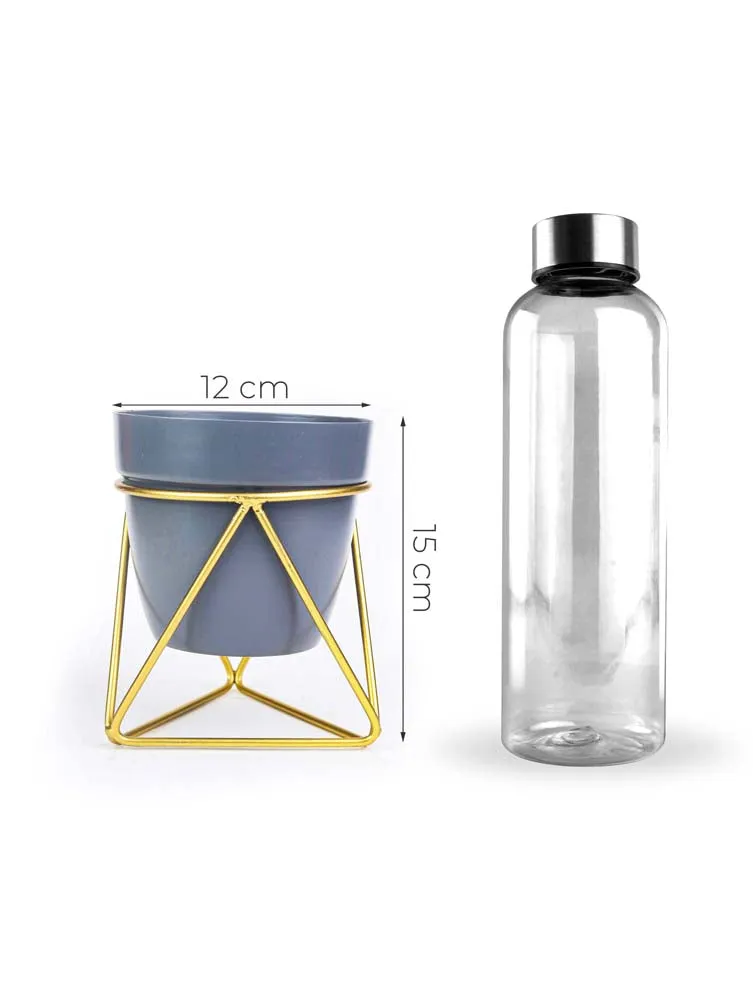 Elegant Grey and Gold Resilient Metal Plant Pot Set Of 1 Single Piece