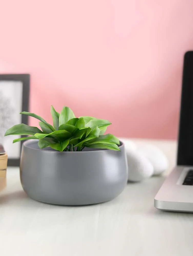 Elegant Grey Handi Resilient Metal Plant Pots Set Of 2