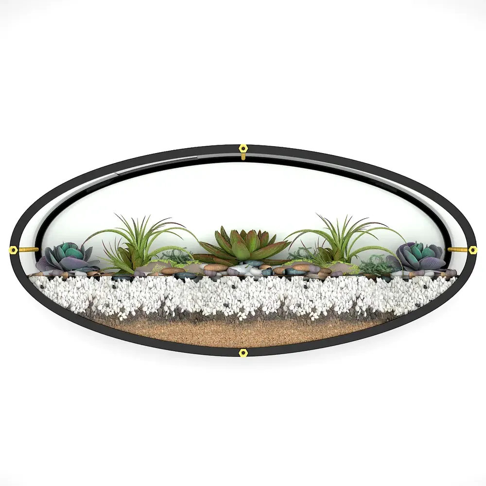 Elegant Oval Shaped Transparent Wall Terrarium