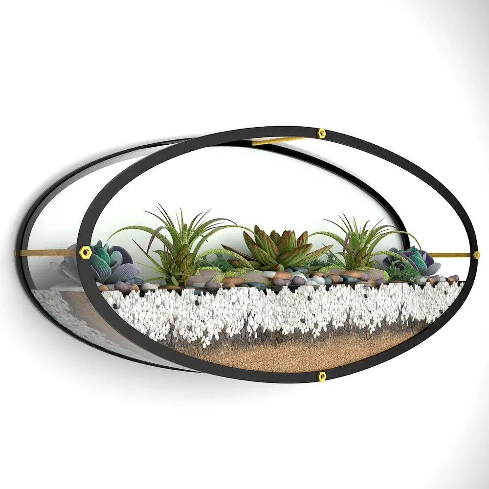 Elegant Oval Shaped Transparent Wall Terrarium