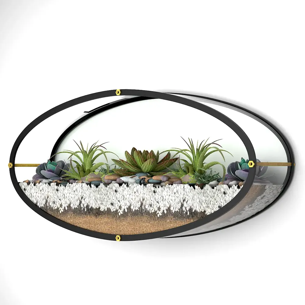 Elegant Oval Shaped Transparent Wall Terrarium