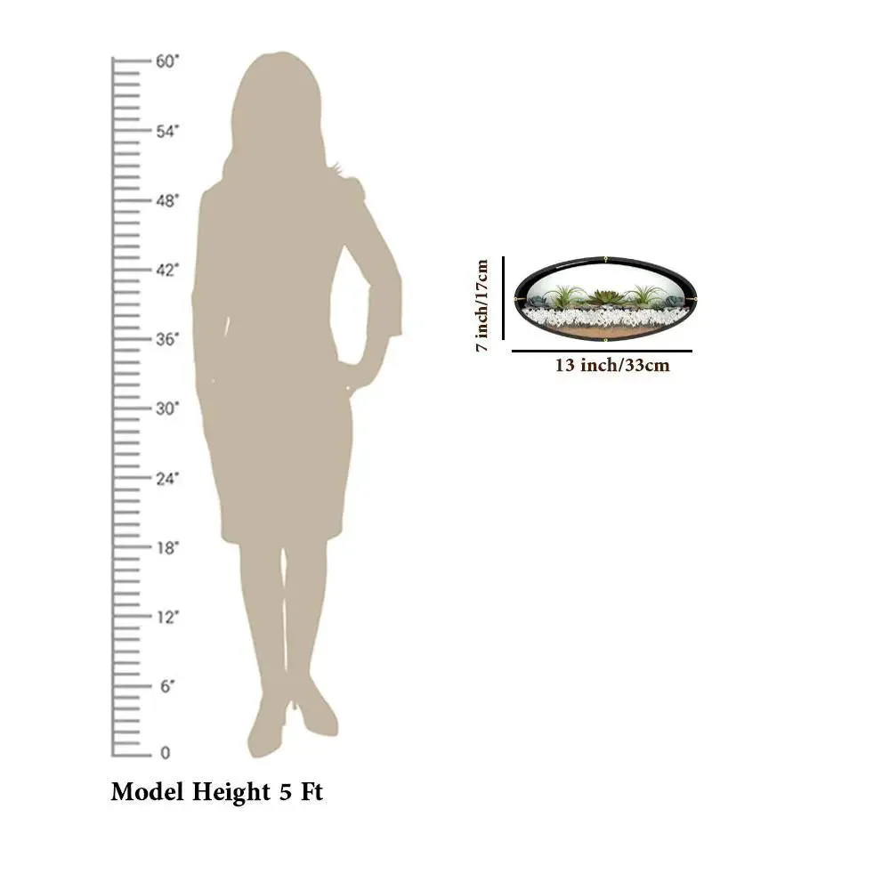 Elegant Oval Transparent Wall Terrarium