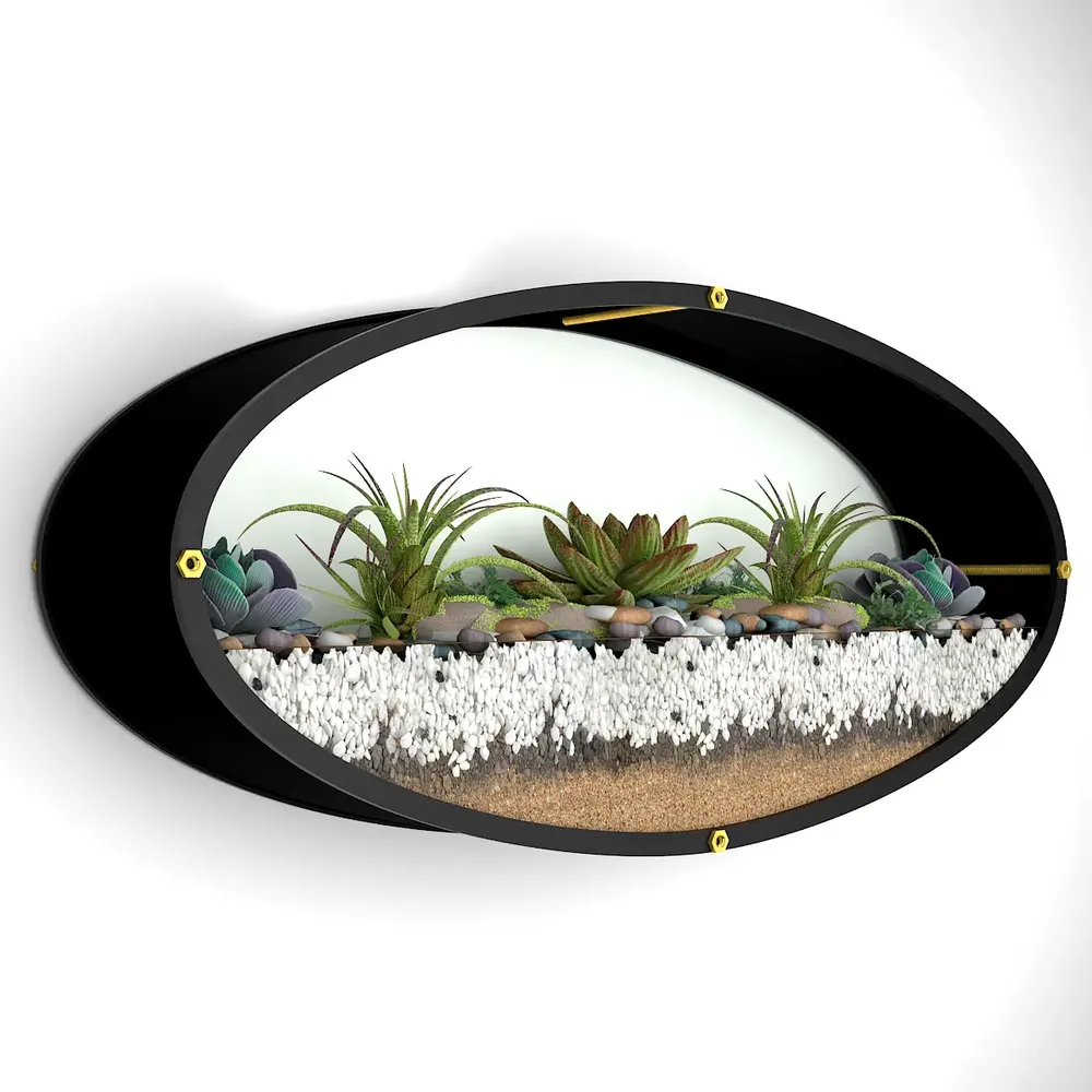 Elegant Oval Transparent Wall Terrarium