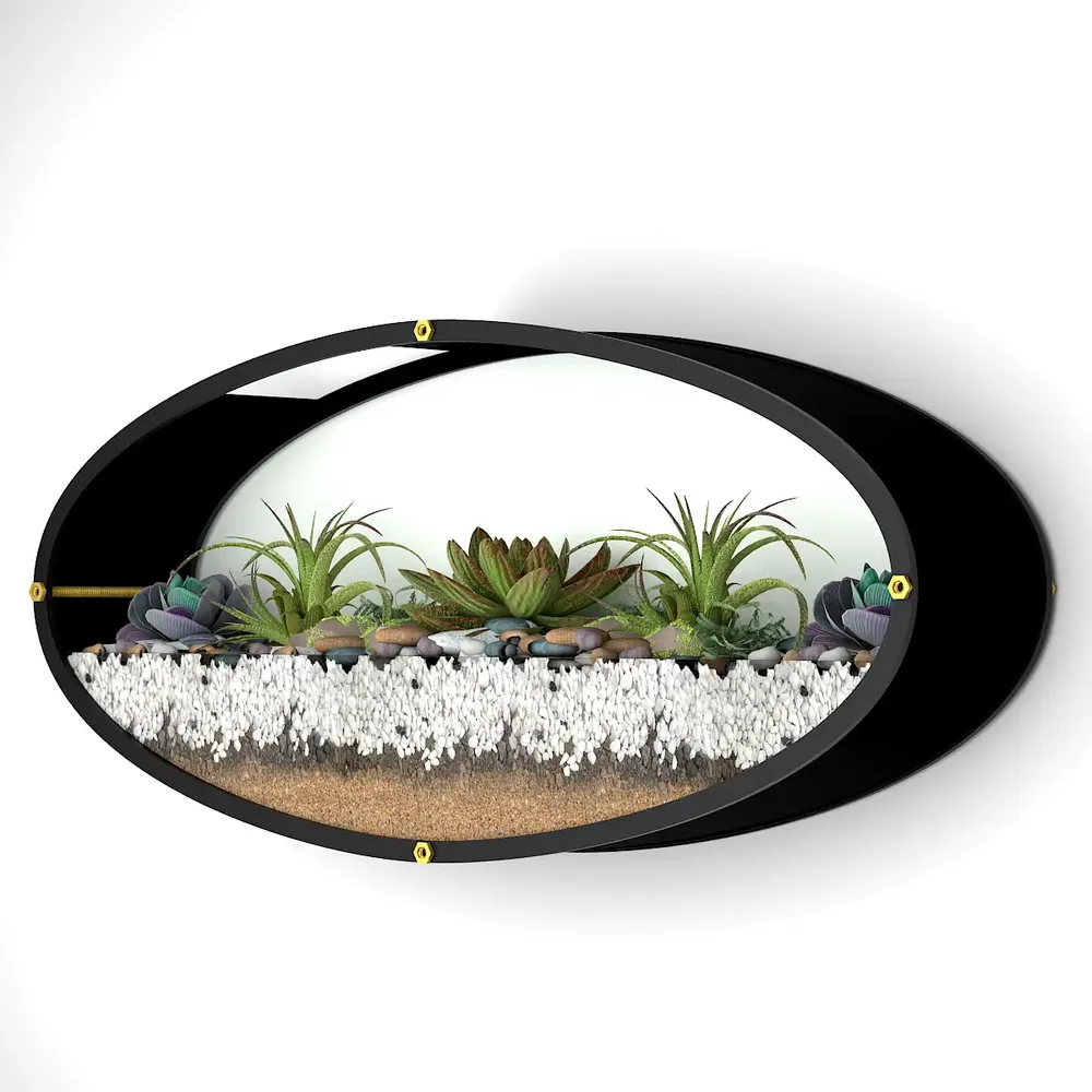 Elegant Oval Transparent Wall Terrarium