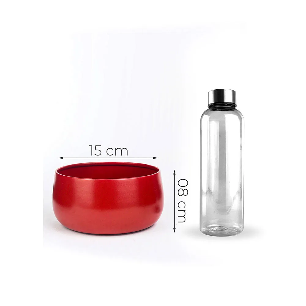 Elegant Red Handi Resilient Metal Plant Pots Set Of 2