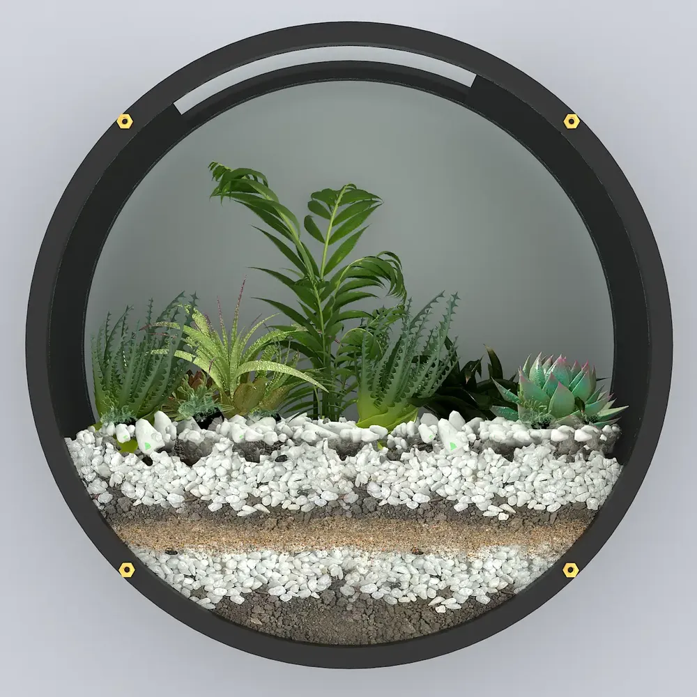 Elegant Round Shaped Transparent Wall Terrarium