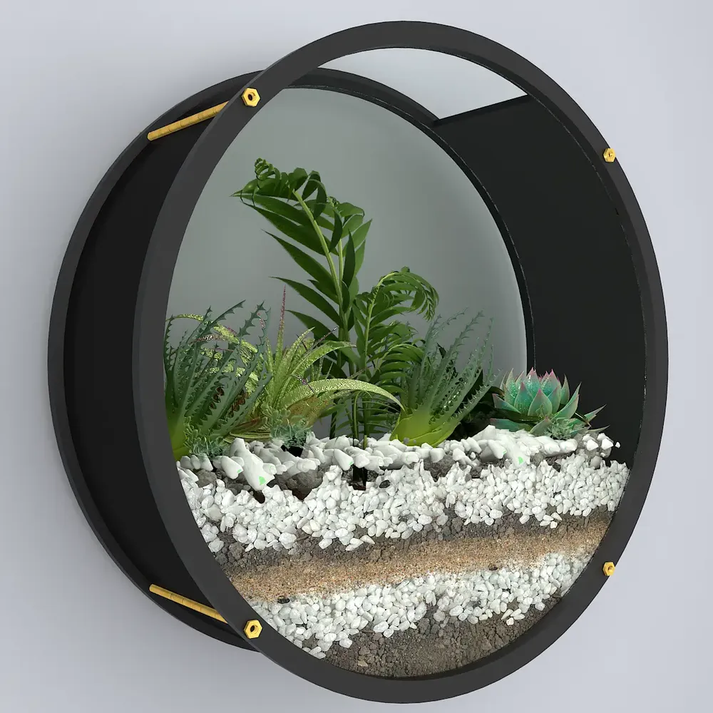 Elegant Round Shaped Transparent Wall Terrarium