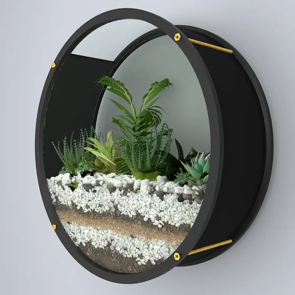 Elegant Round Shaped Transparent Wall Terrarium