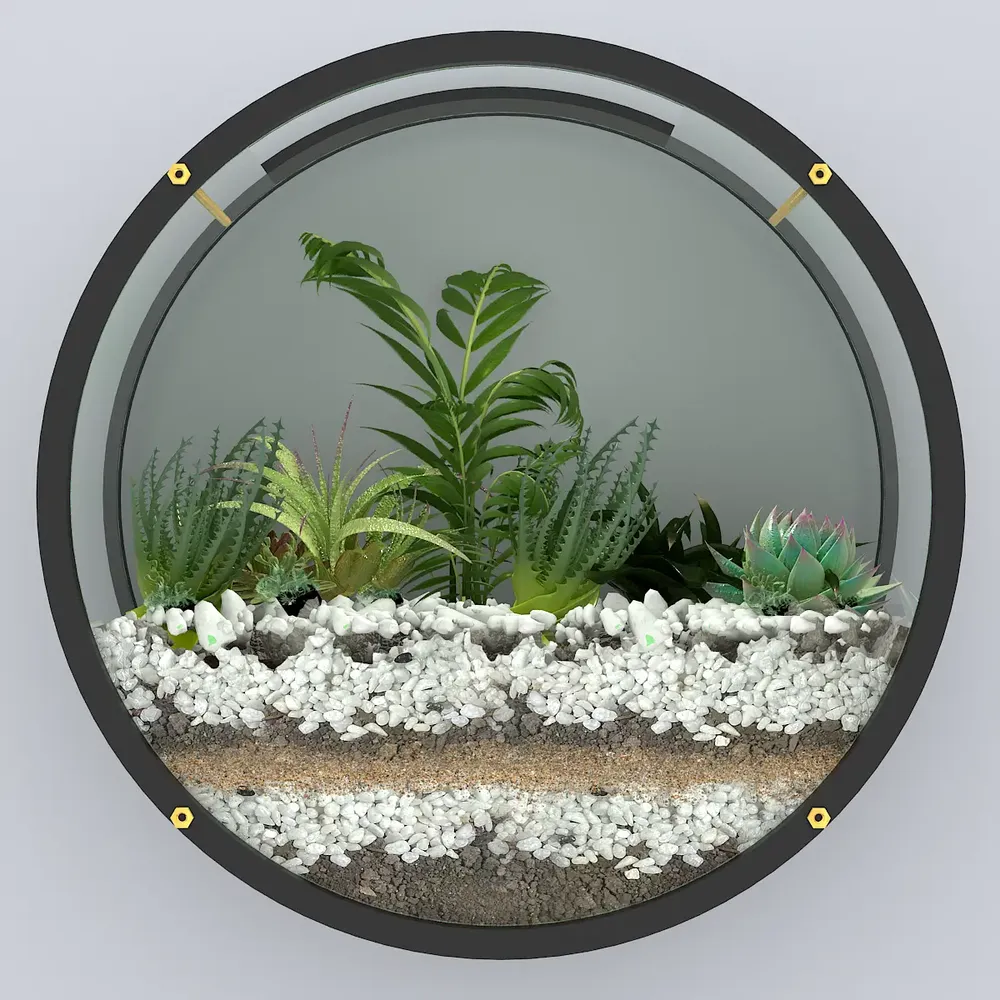 Elegant Round Transparent Wall Terrarium