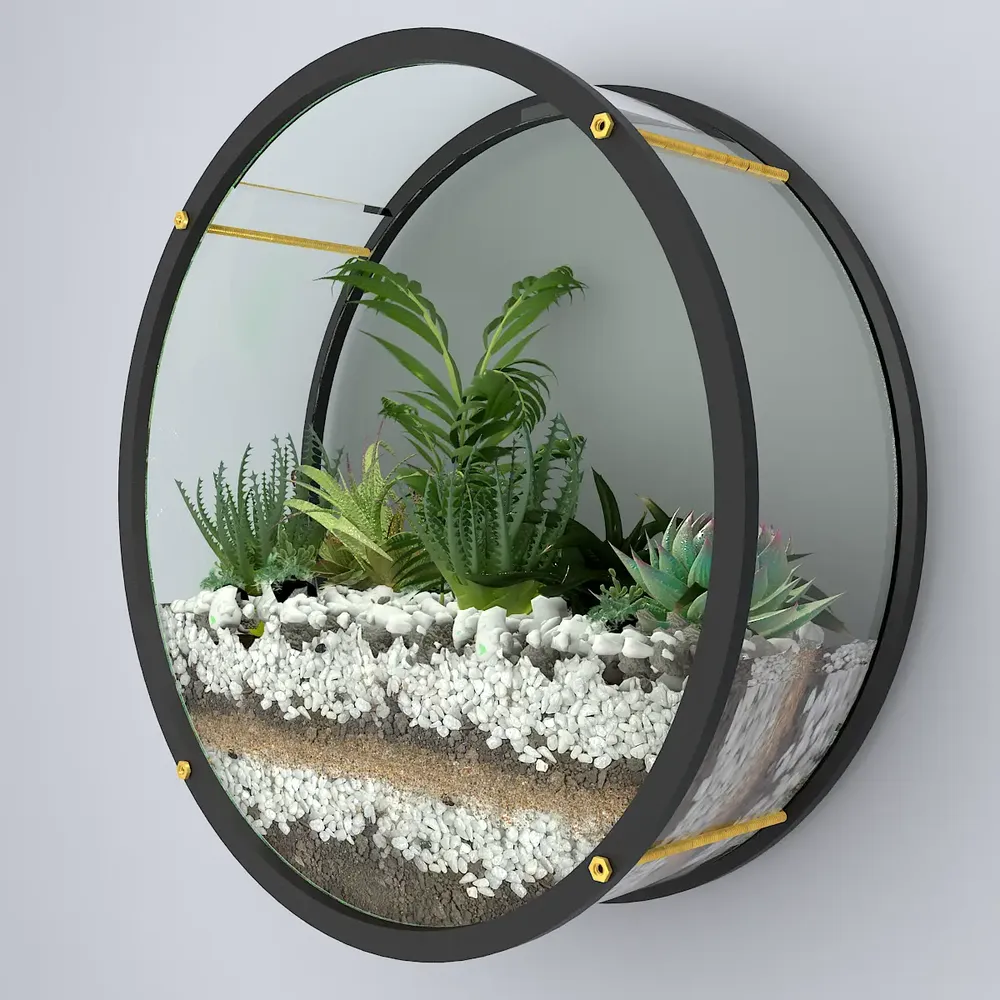 Elegant Round Transparent Wall Terrarium
