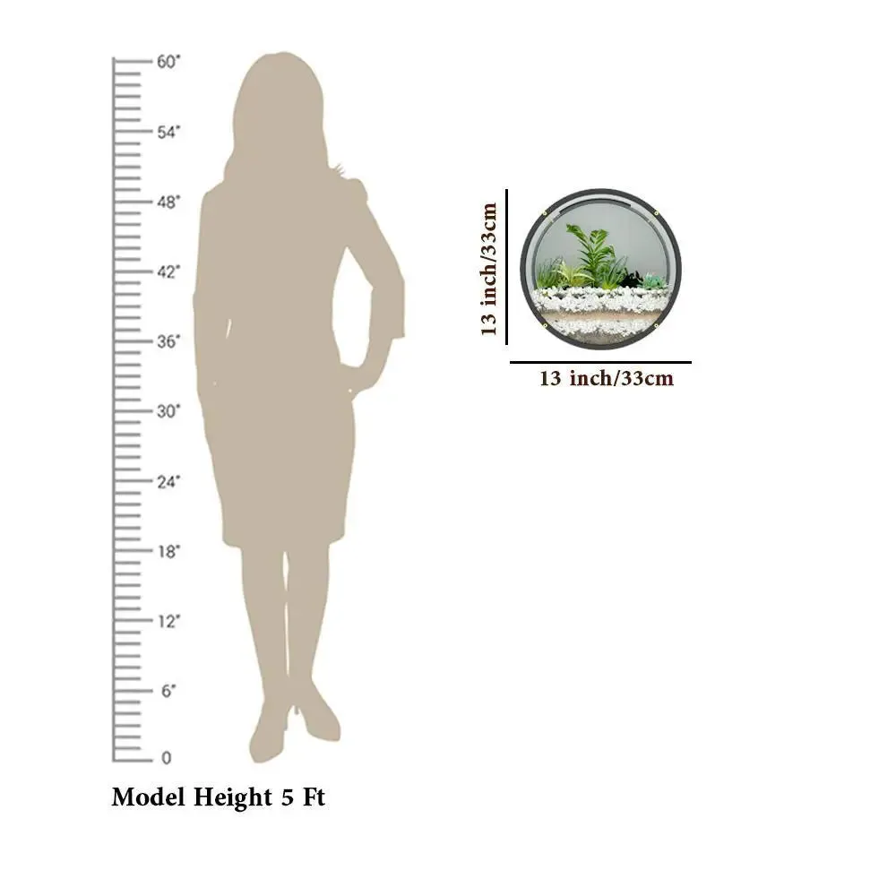 Elegant Round Transparent Wall Terrarium