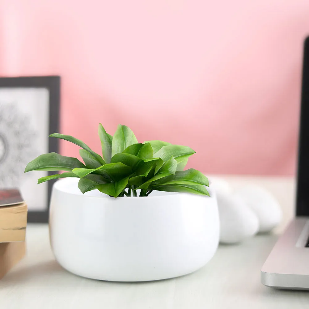 Elegant White Handi Resilient Metal Plant Pot Set Of 1