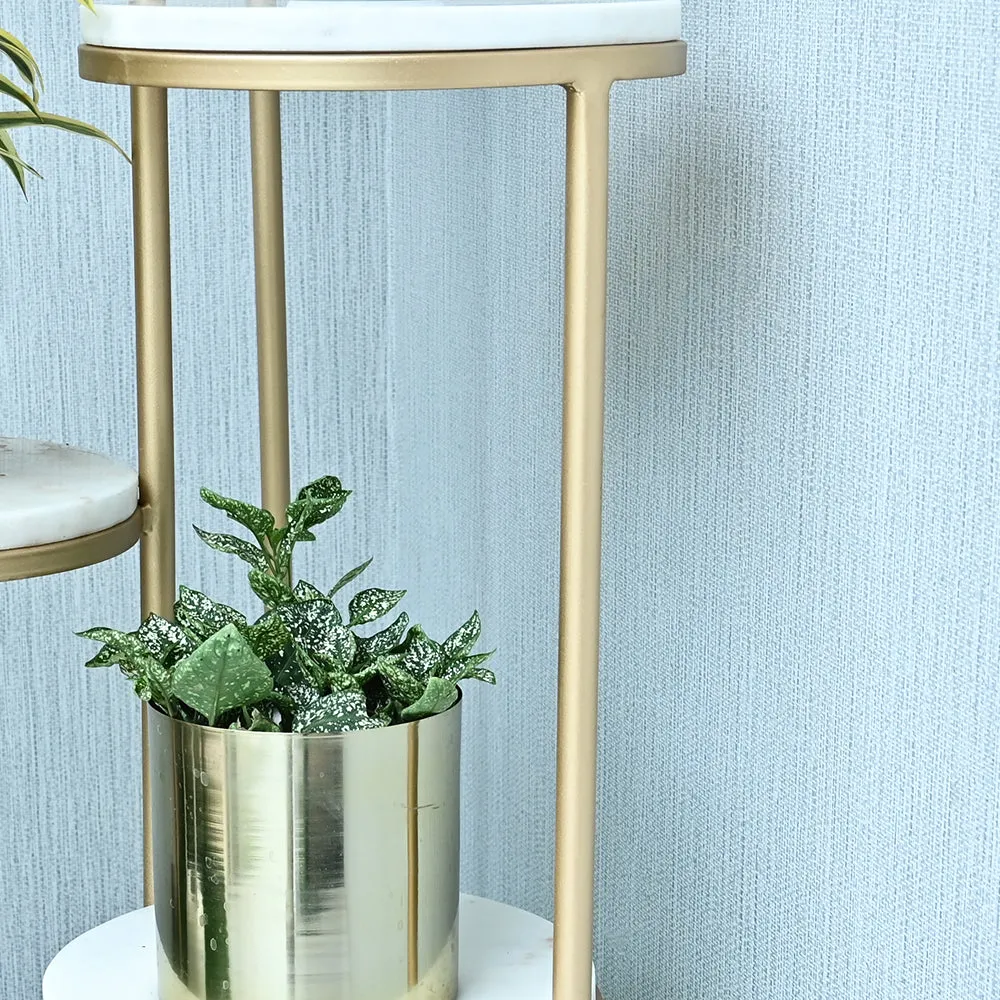 Elegant White Round Marble Top Sturdy Metal Planter Stand- 4 Tier