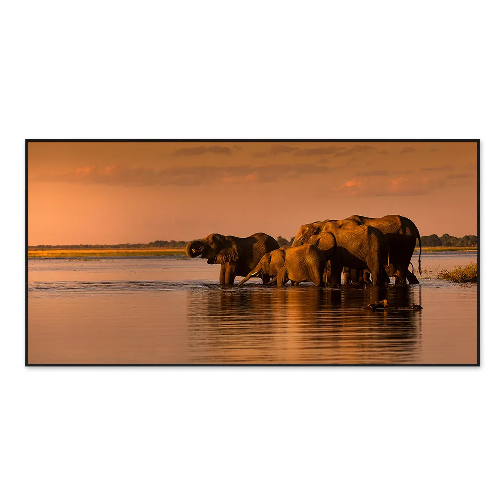 Elephants Along Chobe River During Sunset Canvas Art / Wildlife Painting With Floating Frame
