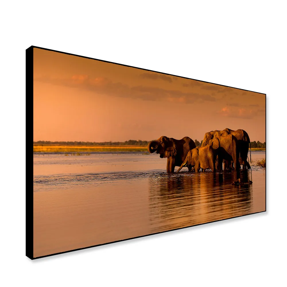 Elephants Along Chobe River During Sunset Canvas Art / Wildlife Painting With Floating Frame
