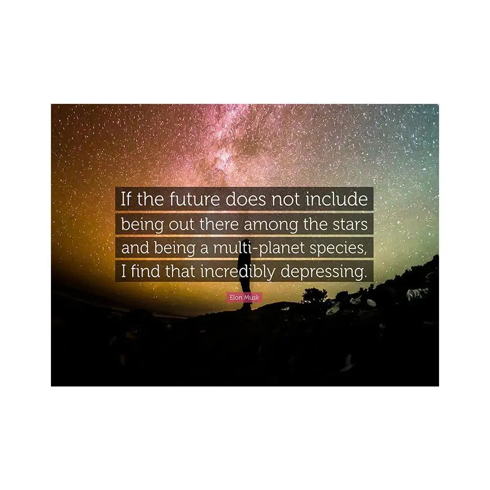Elon Musk Quote Poster Regular Size Poster 9" X 12"