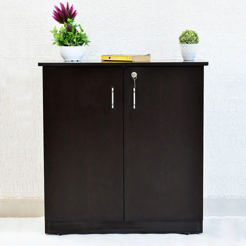 Engineered Wood Black Double Door Multipurpose Cabinet/Shoe Cabinet