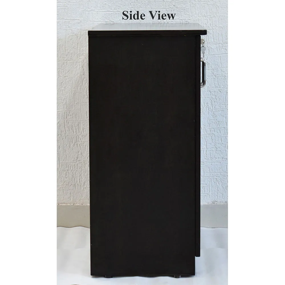 Engineered Wood Black Double Door Multipurpose Cabinet/Shoe Cabinet