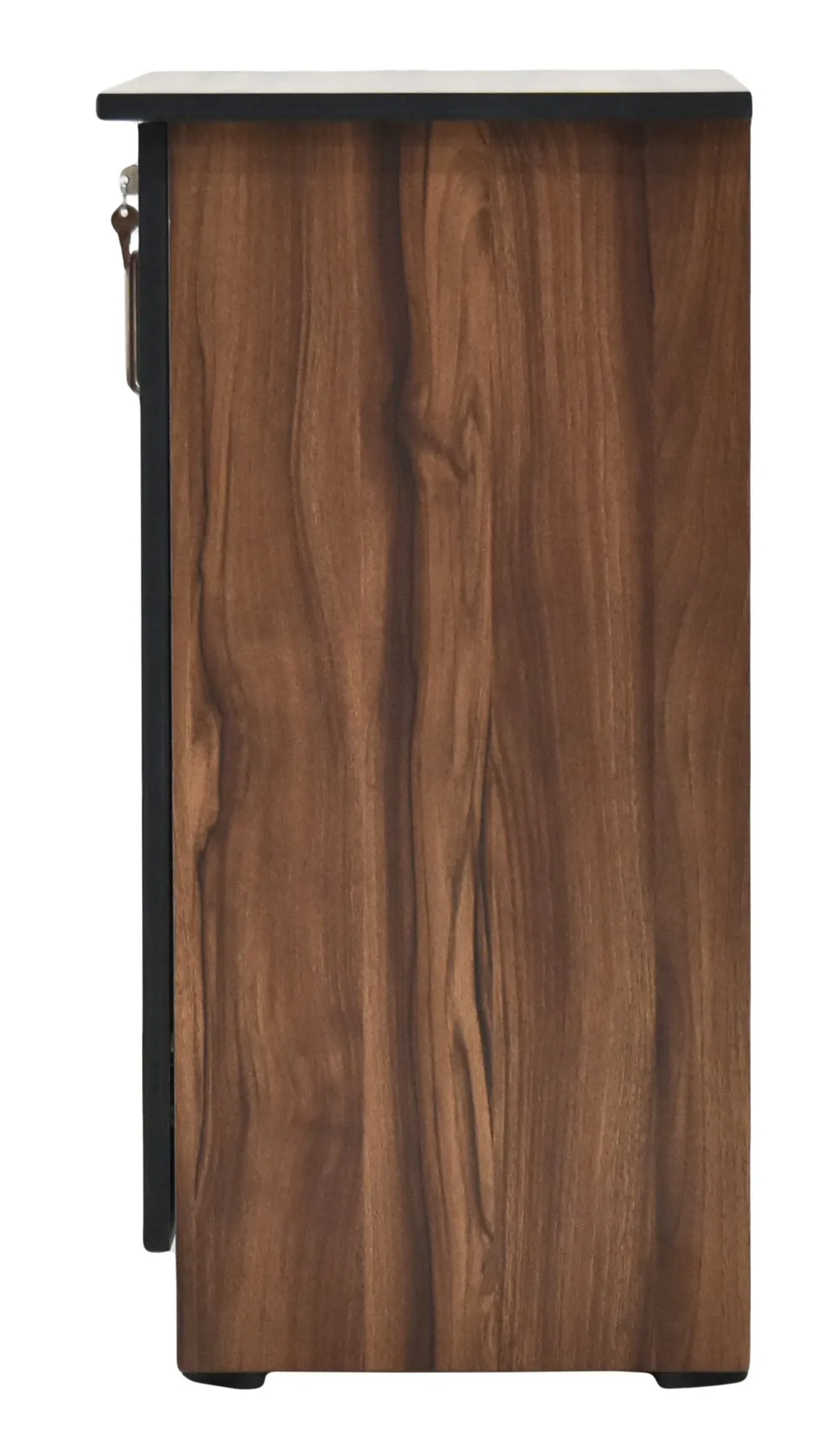 Engineered Wood Walnut Brown Two Compartment Multipurpose Cabinet/Shoe Cabinet