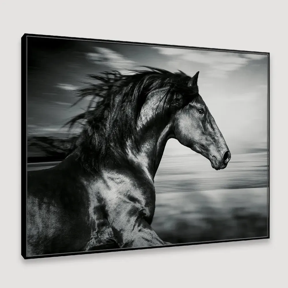 Ferocious Light- Canvas Print With Floating Frame