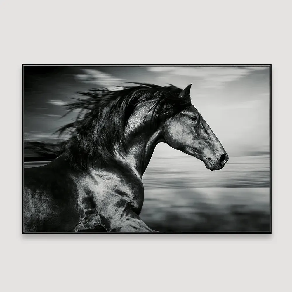 Ferocious Light- Canvas Print With Floating Frame